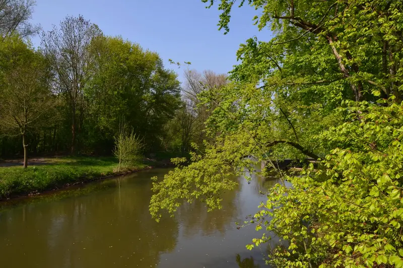 Ein ruhiger Flussarm der Erft an einem Frühlingsmorgen, überhängende frischgrüne Zweige spiegeln sich im stillen Wasser, dahinter blauer Himmel