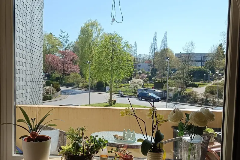 Blick aus Martinas Fenster — Pflanzen auf der Fensterbank, dahinter blühende Bäume und blauer Himmel
